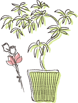 四季彩レンタル 緑とお花のレンタル